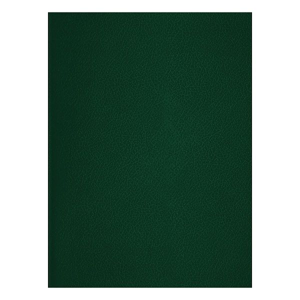 Тетрадь 48л., А4 клетка BG, бумвинил, зеленый