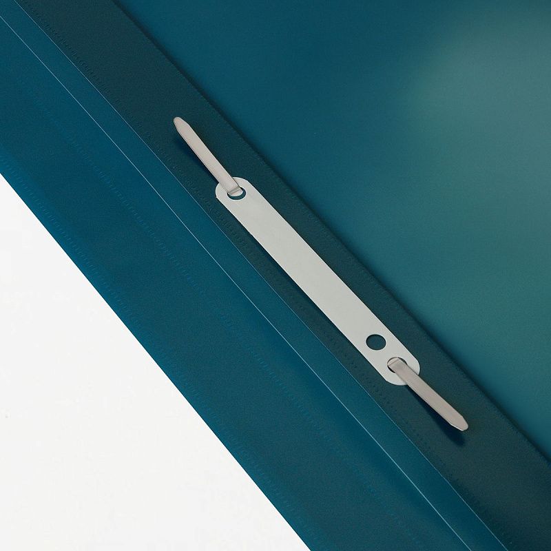 Папка-скоросшиватель пластик. СТАММ "Хамелеон" А4, 180мкм, зеленый хамелеон с прозр. верхом 