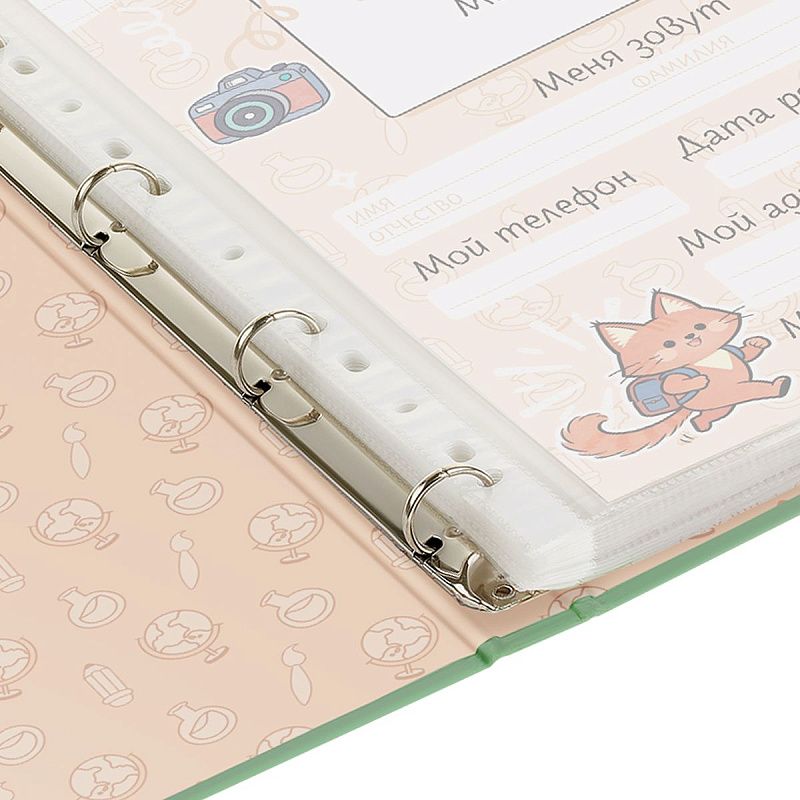 Папка-портфолио 7БЦ А4 BG, на 4 кольцах для школьника "Котята-школьники", 20 файлов, 10 вкладышей. 