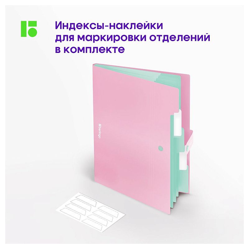 Папка 5 отделений Berlingo "Haze", А4, 600мкм, на кнопке, розовая, софт-тач 