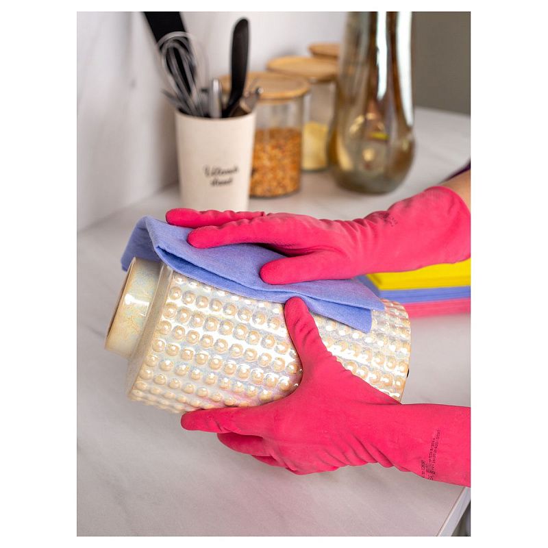 Салфетки для уборки Paclan "Practi", набор 10шт., вискоза/полиэстер, 30*40см