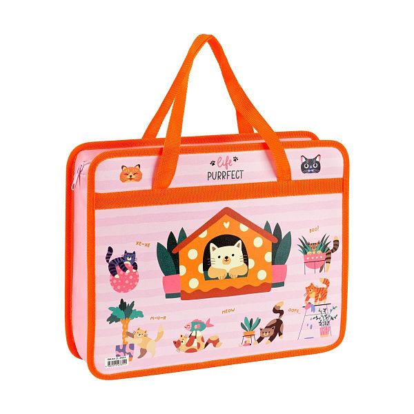 Папка с ручками А4 ArtSpace, пластик, на молнии, 80мм, ассорти