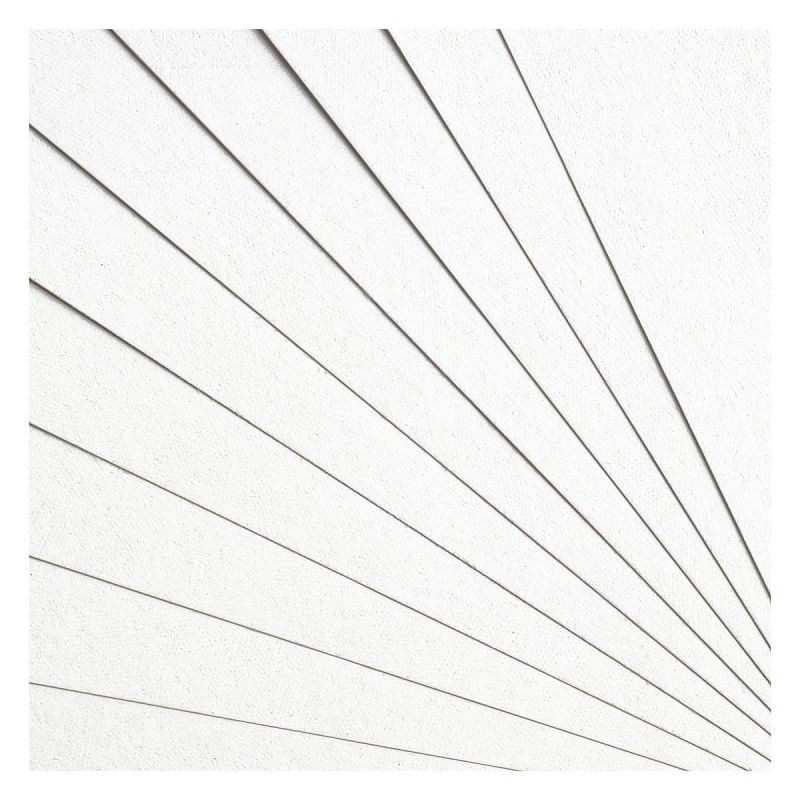 Картон белый А4, Мульти-Пульти, 10л., немелованный, в папке, "Приключения Енота"