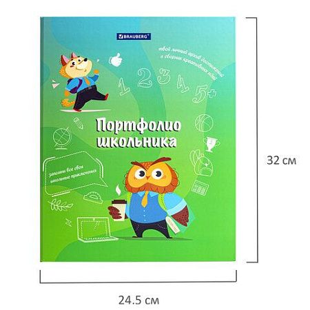 Папка-портфолио школьника "ОТЛИЧНИК", 4 кольца, 20 файлов, 10 вкладышей, 7БЦ матовая, BRAUBERG, 115240 