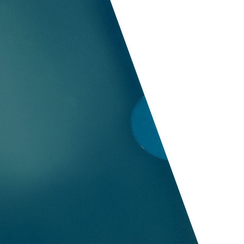 Папка-уголок СТАММ "Хамелеон" А4, 180мкм, пластик, непрозрачная, зеленый хамелеон 