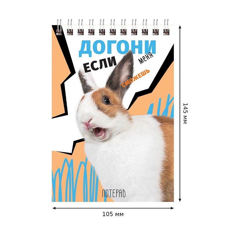 Блокнот А6 40л. на гребне BG "Если сможешь"