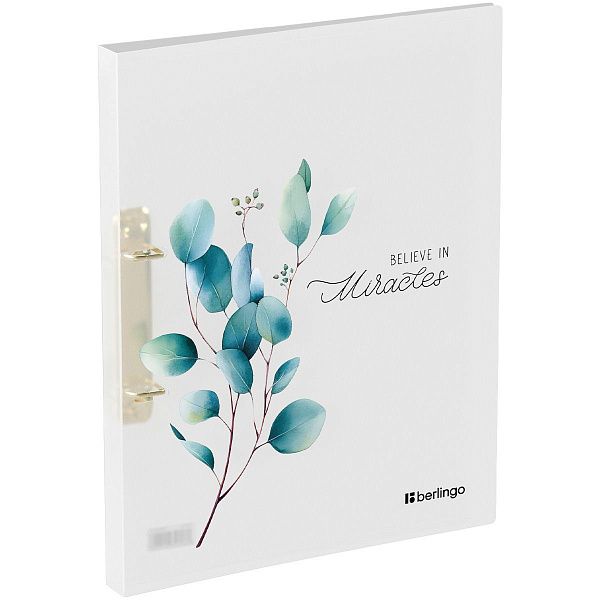 Папка на 2 кольцах Berlingo "Spring", 24мм, 600мкм, с рисунком, D-кольца