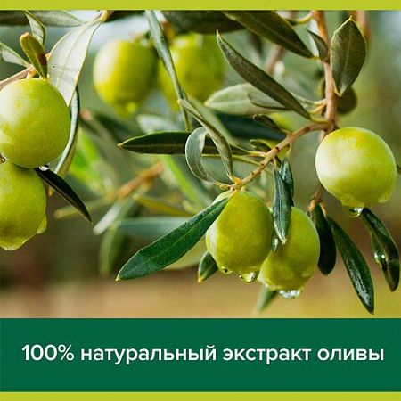 Мыло жидкое 300 мл, PALMOLIVE НАТУРЭЛЬ "Олива и увлажняющее молочко", дозатор, 1763, 8693495017633 