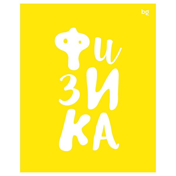 Тетрадь предметная 48л. BG "Домино" - Физика, пластиковая обложка