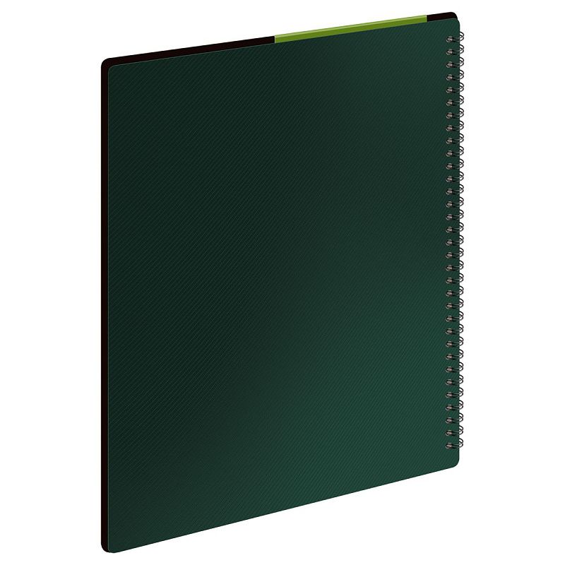 Папка с 40 вкладышами на гребне СТАММ "Диагональ" А4, 21мм, 700мкм, пластик, изумруд 