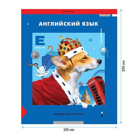Тетрадь предметная 36л. ArtSpace "Пять в квадрате" - Английский язык, эконом