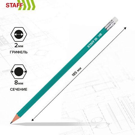Карандаши чернографитные с ластиком STAFF EVERYDAY BLP-GRN, КОМПЛЕКТ 50 шт., НВ, корпус зеленый, 181941 