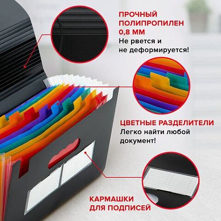Папка-органайзер для бумаг и документов на резинке, 13 отделений, BRAUBERG DOCS, А4, черная, 271152 