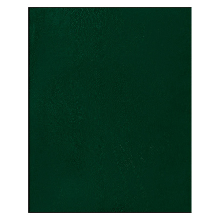 Тетрадь 80л., А4 клетка BG, бумвинил, зеленый